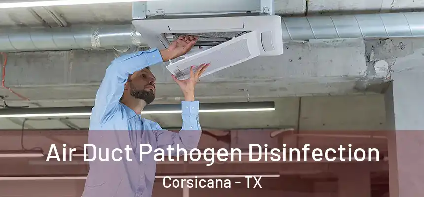  Air Duct Pathogen Disinfection Corsicana - TX