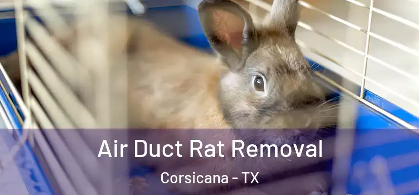  Air Duct Rat Removal Corsicana - TX