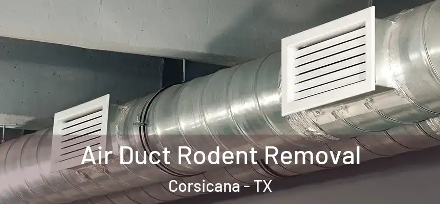  Air Duct Rodent Removal Corsicana - TX