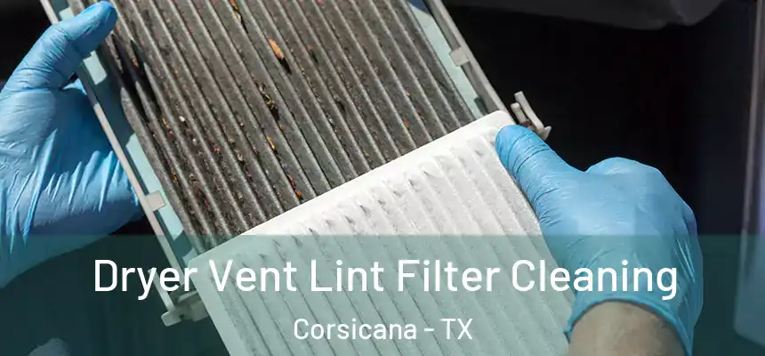  Dryer Vent Lint Filter Cleaning Corsicana - TX