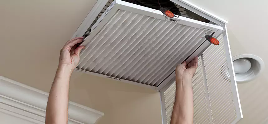Our Insect Removal from Air Ducts Services in Corsicana, TX