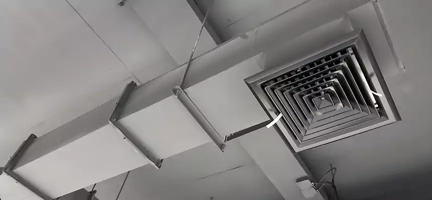 Our Rodent Droppings In Vents Services in Corsicana, TX