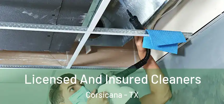  Licensed And Insured Cleaners Corsicana - TX