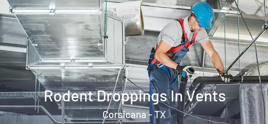 Rodent Droppings In Vents Corsicana - TX