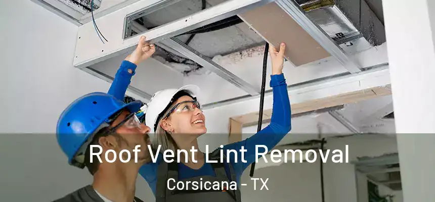 Roof Vent Lint Removal Corsicana - TX