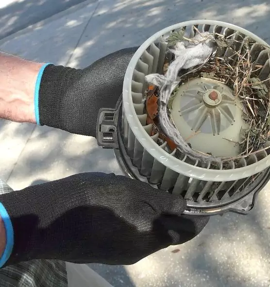 About Air Duct Mice Removal in Corsicana, TX